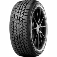 Evergreen EW62 175/70 R14 88T